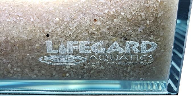 LIFEGARD Low Iron Ultra Clear 4 Gallon Crystal Aquarium with Built in Back Filter with High Polish Filter Sock – 45° Beveled Edge, Rimless Glass, Rectangular Style with Directional Jet Flow
