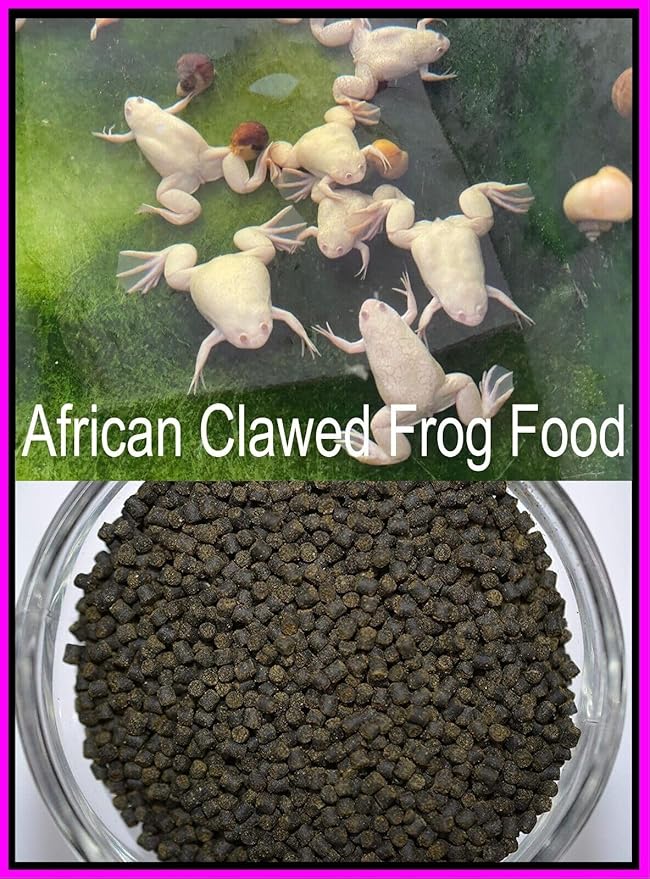 African Clawed Frog Soft Food Bits - Aquatic Frog Food 2.4 A282F - 2oz