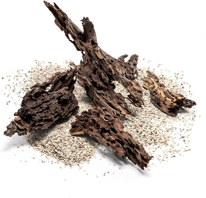 Ultum Nature Systems Driftwood - Dragon Drift Wood for Fish Tank, Planted Tank, Terriarium, Paludarium - Versatile Natural Driftwood Decor, Events Wood Centerpiece - Dragon Wood, L 14-20, 3 Pack