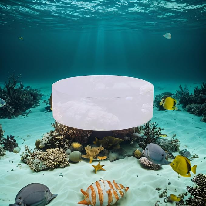 TOPINCN Aquarium Viewer, Fish Acrylic Observe Lense for Marine Aquarium Reef (150mm)