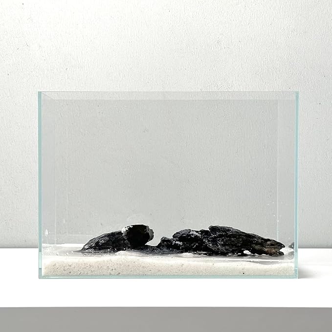 Nano Aquarium Kit 2.2 Gallon, Rimless Glass Betta Fish Tank with Filter & LED Light, 12" x 6" x 8" Small Desktop Fish Tank for Home Office (Transparent, Essential)
