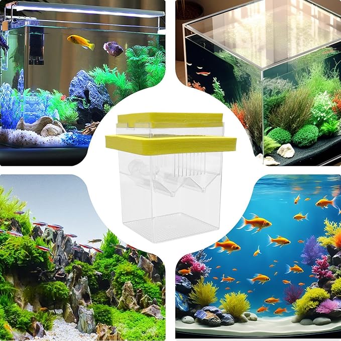 Aquarium Breeder Box – Fish Breeding Tank Box, Floating Fish Isolation Box With Suction Cups, Fish Egg Hatching Box For guppiess & Betta, Small Fish Breeder Tank, Fish Hatchery Box For Aquariums