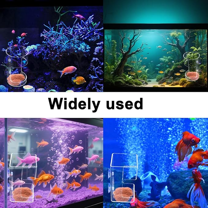 2pcs Fish Tank Feeding Trays, Plastic Transparent Round & Square Feeder Box with 4 Suction Cups Practical Accessories Supplies for Fish Tank Aquarium