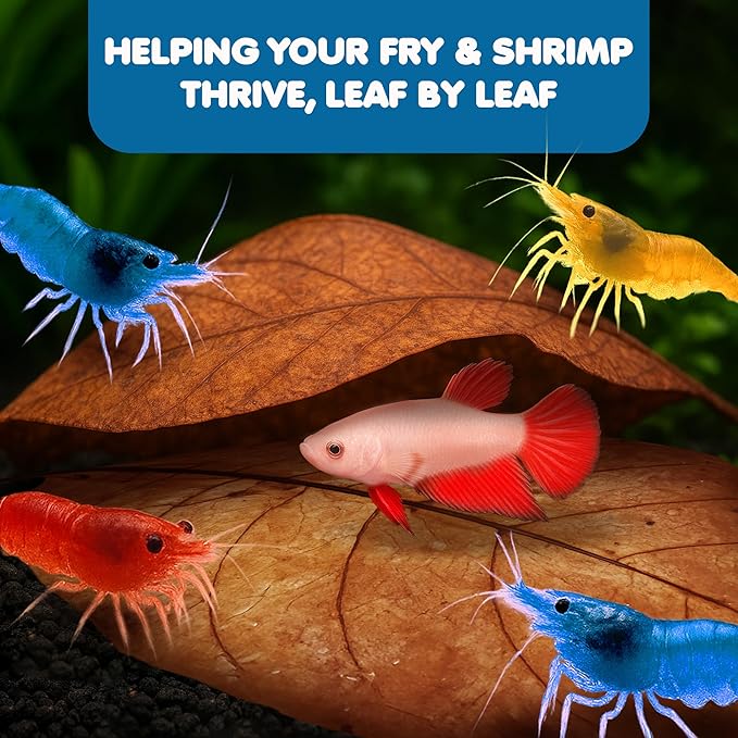 SunGrow Catappa Indian Almond Leaves, 7-8 Inches,10 Catappa Leaves for Betta Fish, Aquarium Water Conditioner, Tank Decoration, Freshwater Tank Accessories, Betta Fish Care, Aquatic Leaf Litter
