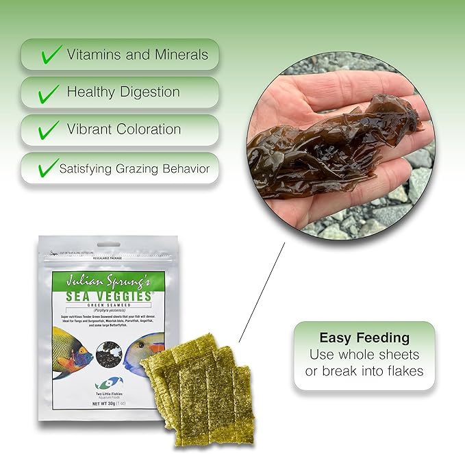 Two Little Fishies Atlsvgs4 Sea Veg-Green Seaweed, 1 Oz