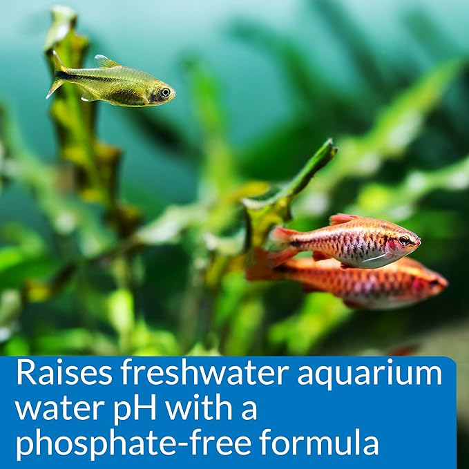 API pH UP Freshwater Aquarium Water pH Raising Solution 1.25-Ounce Bottle