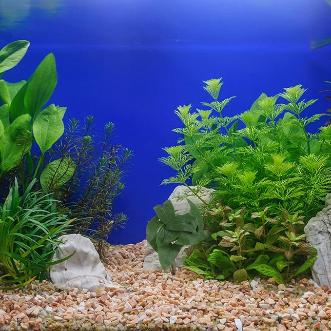 balacoo Essential Reptile Terrarium Decor Lifelike Artificial Plant Easy Install Reptile Box Adornment