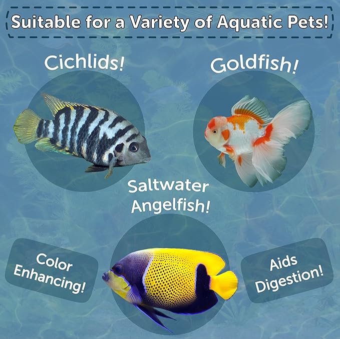 Brine Shrimp, Freeze Dried Floating Brine Cubes for Cichlids, Discus, Tetras, Goldfish, Bettas, Angel Fish, Marines, All Tropicals, Aquatic Turtles 1.3oz Canister