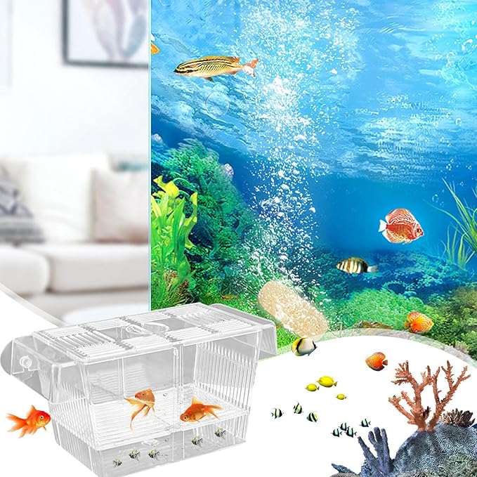 Fish Breeding Box - Fish Tank Divider Acclimation Box, Acrylic Hatchery Incubator Fish Tank | Fish Tank Breeder Box, Baby Fish Tank for Baby Fishes, Shrimp, Clownfish, Guppy, Aggressive Fishes
