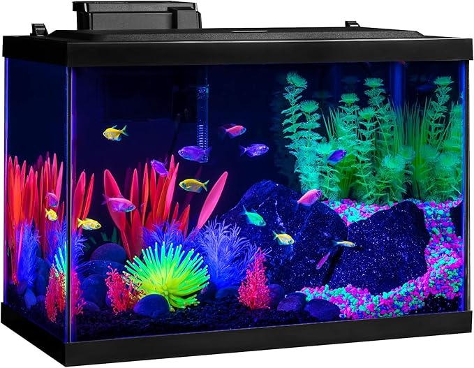 GloFish Live Fish Collections (Tetra Tulip)