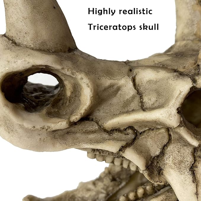 kathson Large Resin Dinosaur Triceratops Skull Décor Aquarium Decoration Reptiles Hideout Fish Tank Ornament Home Landscape Decor