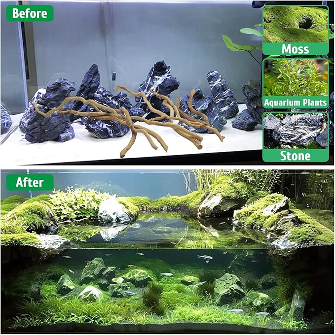 kathson Natural Driftwood for Aquarium, Red Moor Driftwood Mix 12''-16'' Long Driftwood for Decorations Aquarium Driftwood Assorted Shapes Natural Aquarium Decor Driftwood (250g, Medium Branches)