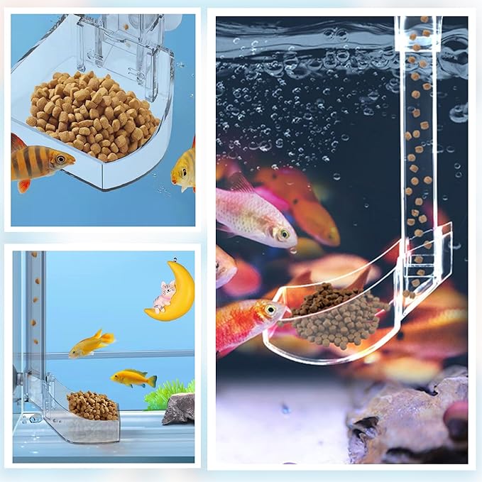 Aquarium Fish Shrimp Feeding Dish Set Clear Fish Feeder Tube and Dish with Cleaning Brush and Measuring Spoon for Feeding Shrimp and Preventing Food Scattering Feeding Supplies for Shrimp Large