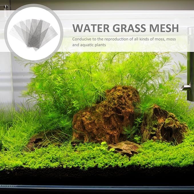 Beaupretty 10pcs Aquatic Planting Mesh Moss Fixed Net Stainless Steel Net Aquatic Moss Mesh Fish Tank Accessory Aquarium Grass Fixed Fish Tank Plant Plant Aquarium s