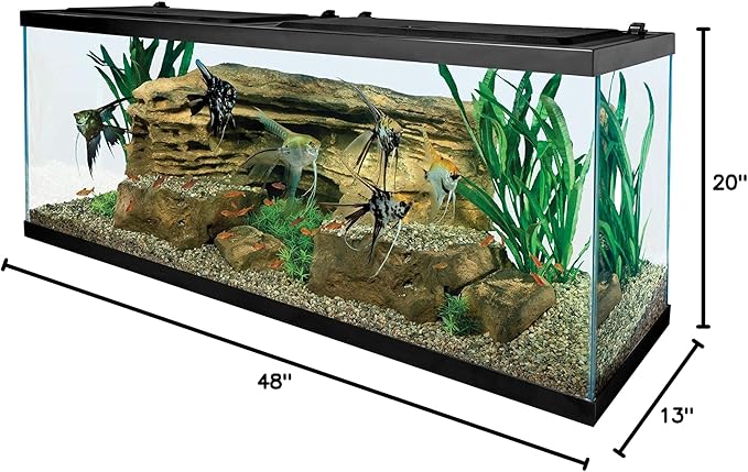 Tetra Glass Aquarium 55 Gallons, Rectangular Fish Tank (NV52018)