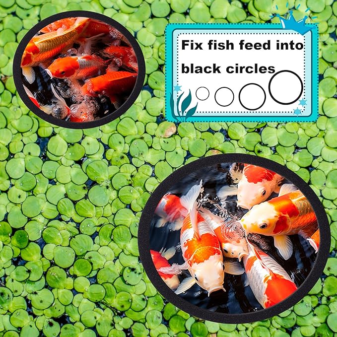 OIIKI 10 PCS Fish Feeding Rings Set - Floating Aquarium Plant Corral, Oval Rings, Tank Accessories - Black, 5 Sizes