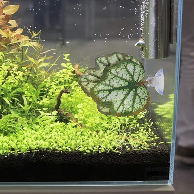 iplusmile Betta Fish Leaf Pad 2Pcs Aquarium Leaf Hammocks Pad Fish Tank Plants Accessories for Playing Hideout and Aquarium Decorations Simulating The Habitat Green
