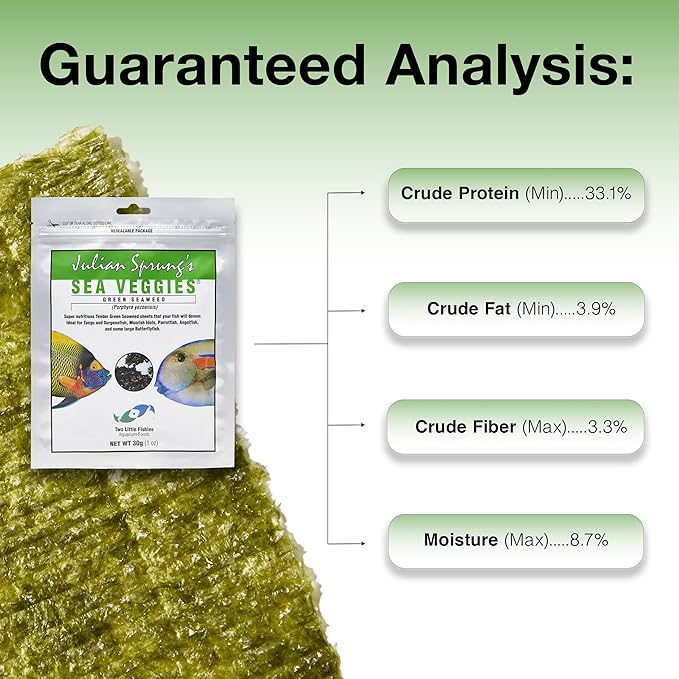 Two Little Fishies Atlsvgs4 Sea Veg-Green Seaweed, 1 Oz