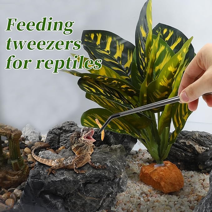 Reptile Feeding Tongs, Stainless Steel Lizard Feeding Tongs, Aquarium Curved Feeding Tweezers for Reptiles with Rubber Tip, Terrarium Feeding Tongs 10.63" L, Black Silver Tone