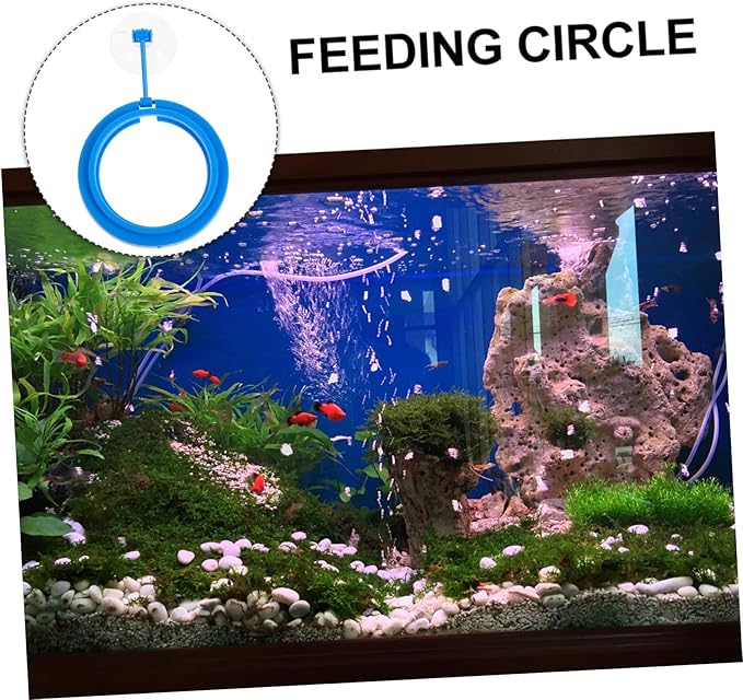 BESPORTBLE Fish Tank Automatic Feeder 3pcs Feeding Ring Lightweight Plastic Floating Food Tray Easy to Clean