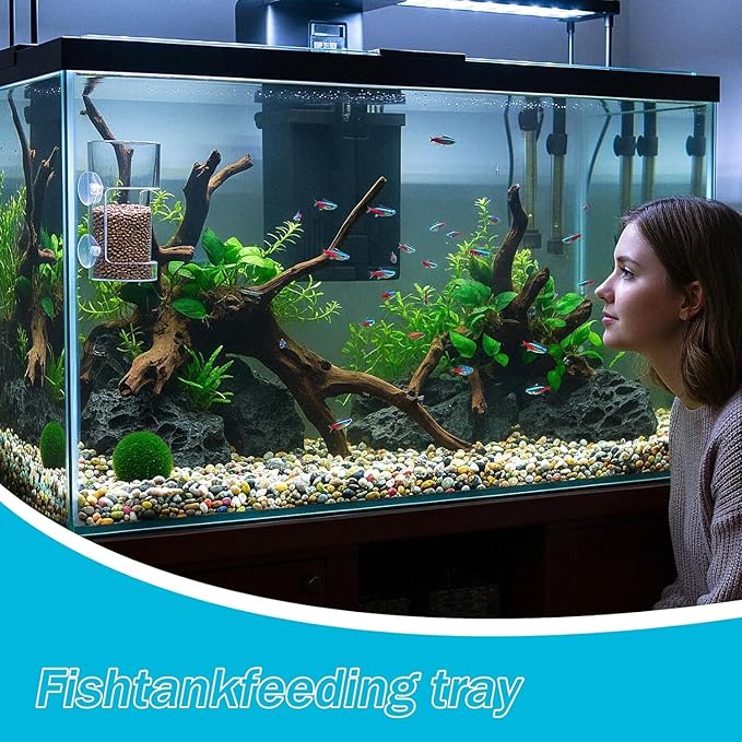 ZALYDRIFish Food Feeder, Aquarium Feeding Tray with Suction Cup, Acrylic Feeding Tube Fish Food Box, Aquarium Accessory breeding Box, with one Cute Moon Animal PVC Floating Toy