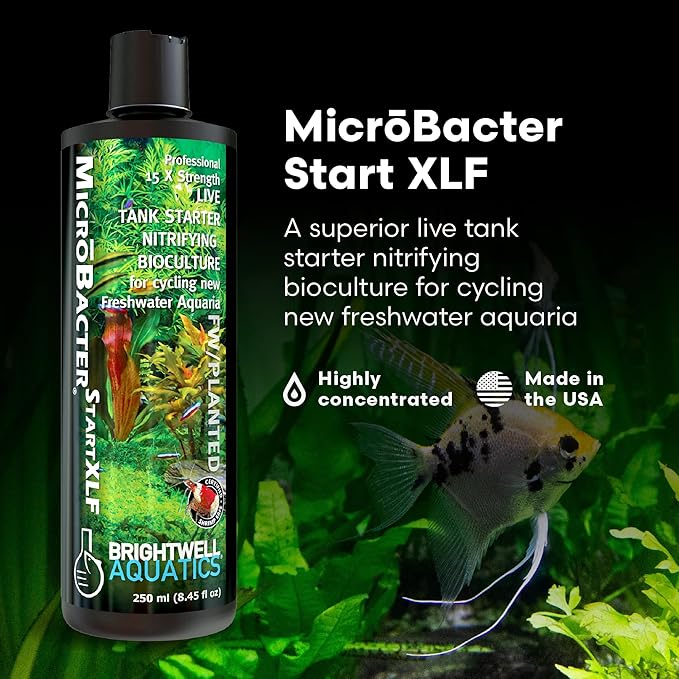 Brightwell Aquatics MicroBacter Start XLF - Concentrated Freshwater Nitrifying Bacteria - Quick Start Fish Tank Starter, Lift Microbe Levels & Water Filtering - Aquarium Water Treatments, 8.45 fl oz