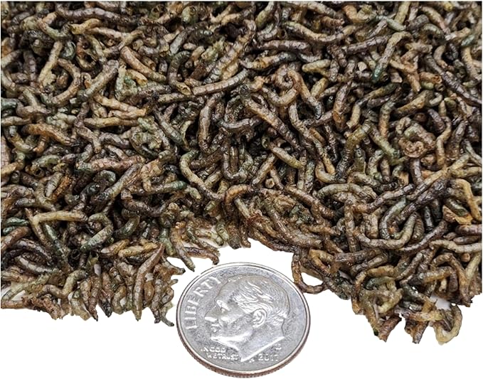 Bloodworms- Freeze Dried Grade A Floating Bloodworms for Discus, Cichlids, All Tropical Fish, Koi & Pond Fish, Carnivore Plants - 1-lb Lg Jar