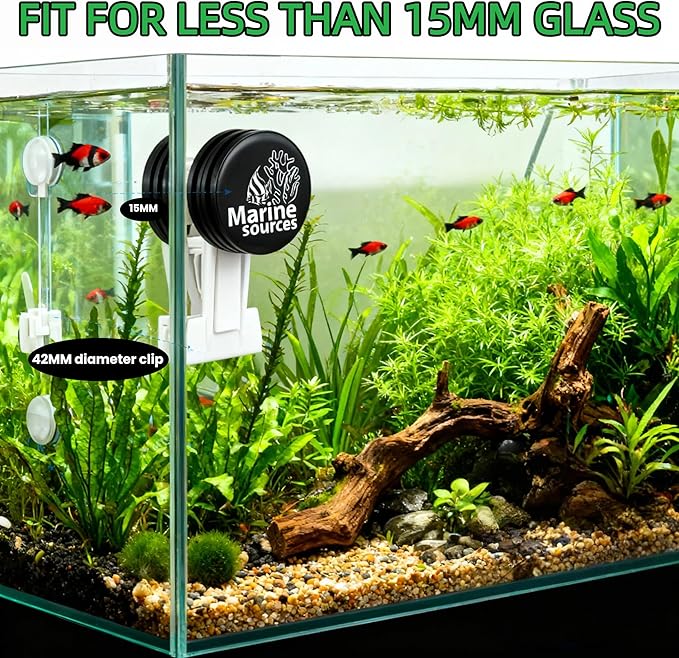 Magnetic Seaweed Feeding Clip for Saltwater Aquarium, Automatic Fish Feeder with Algae Magnet Clip, Glass Tank Accessory for Aquatic Pets, Up to 15mm Glass Thickness