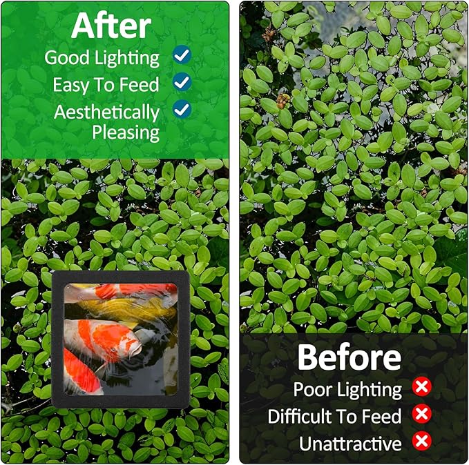 6PCS Aquarium Floating Plant Corral, Black EVA Fish Feeding Ring Set, Fish Tank Accessories for Mini Betta Tank, Floating Plants Holder|Feeder|Corral(3 Round + 3 Square)