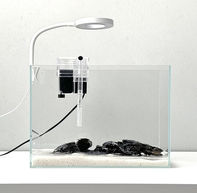 Nano Aquarium Kit 2.2 Gallon, Rimless Glass Betta Fish Tank with Filter & LED Light, 12" x 6" x 8" Small Desktop Fish Tank for Home Office (Transparent, Complete)