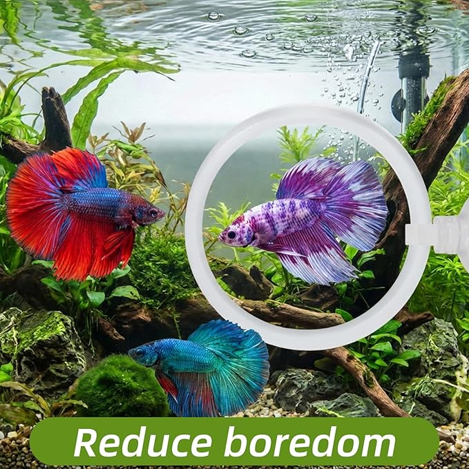 2 Pcs Betta Fish Exercise Ring & Mirror Set, Floating Enrichment Toys with Feeding Ring for Betta Tank, Training & Play Accessories to Prevent Boredom, Safe Aquarium Decor for Beta Fish
