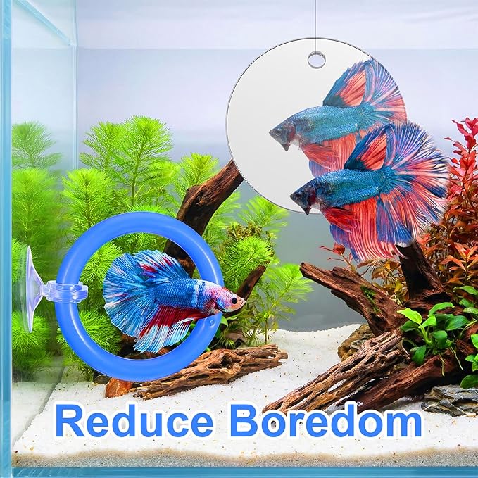 2 PCs Fish Feeding Ring with 1 Floating Mirror, Betta Ring Enrichment Toys, Exercise Training Rings and Betta Mirror for Tank Beta Fish Toys Beta Floating Aquarium Decor
