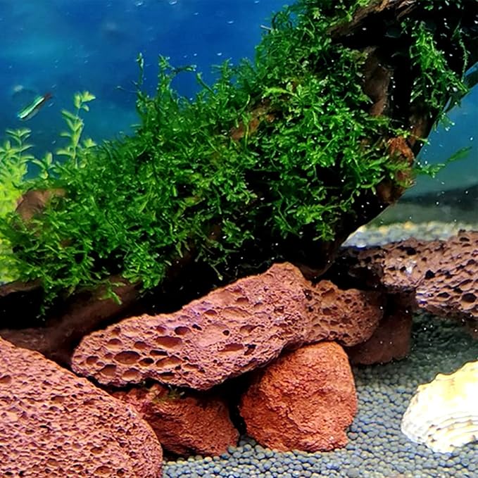 Tfwadmx Aquarium Red Lava Rock 10 Pack Fish Tank Volcanic Pumice Stones for Betta Fish Shrimp (1.96''-3.14'')