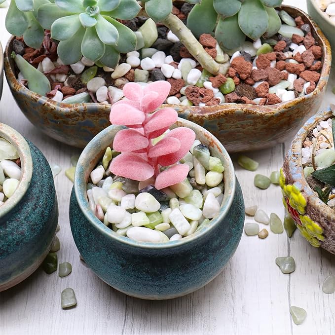 Rocks for Plants. Green Jade Decorative Polished Pebbles. 1/5 Inch – 5 lbs for Garden, Vase fillers, Crafting, Succulents, pots, Plants (Mini (0.2 Inch), Green Jade - Polished, 5)
