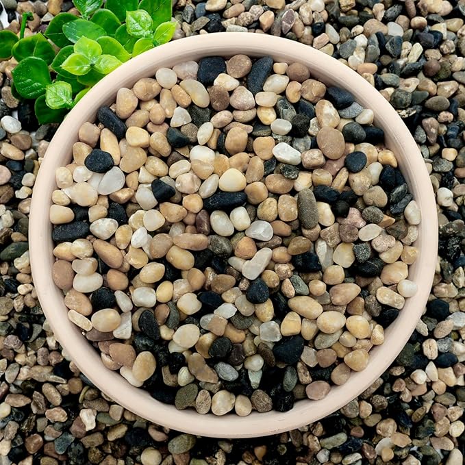 NUPICK 20 lb Aquarium Gravel, 1/4" Ph-Natural Pea Gravel for Fish Tank,Small River Rocks for Plants, Decorative Aquarium Pebbles for Vase Fillers, Landscaping, Succulent, Cactus, Terrarium, Bird Bath