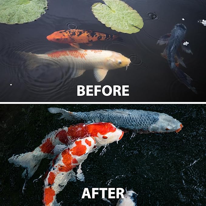 CrystalClear WheatGerm Fish Food—Protein-Rich Floating Pellets for Cold Freshwater Ponds, Ideal in Cooler Spring & Fall Seasons - 2.2 Pound Bucket