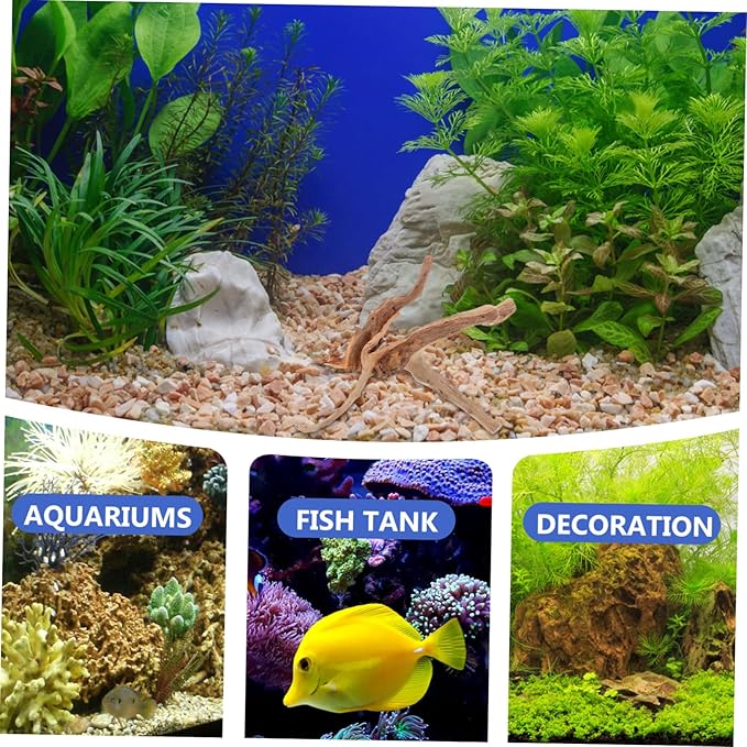 Milisten 3pcs Aquarium Driftwood Branches Unique Spider Wood for Fish Tank and Reptile Terrarium Decoration Random Shapes Versatile Underwater Aesthetic Enhancer