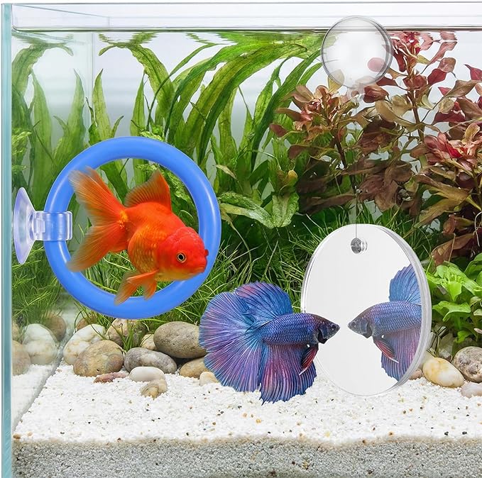 2 PCs Fish Feeding Ring with 1 Floating Mirror, Betta Ring Enrichment Toys, Exercise Training Rings and Betta Mirror for Tank Beta Fish Toys Beta Floating Aquarium Decor