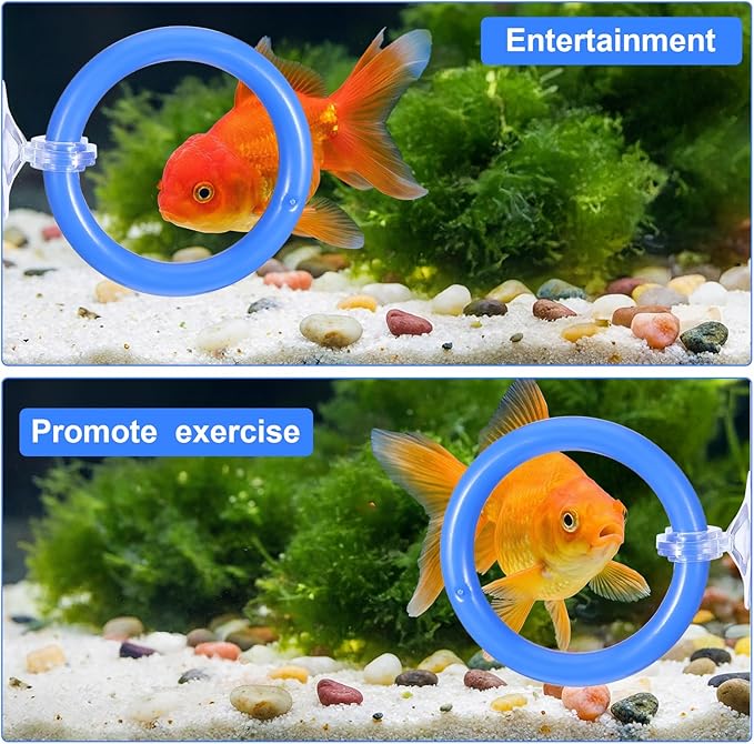 2 PCs Fish Feeding Ring with 1 Floating Mirror, Betta Ring Enrichment Toys, Exercise Training Rings and Betta Mirror for Tank Beta Fish Toys Beta Floating Aquarium Decor