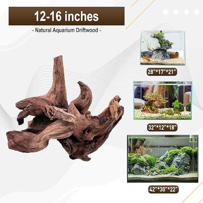 Kaiyuan Dynasty Natural Driftwood for Aquarium Sinkable Driftwood for Reptile Terrariums Fish Tank Decorations 12-16",About 1.5 lbs