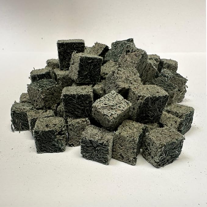 Premium Grade Freeze Dried California Blackworms with Spirulina Boost - High-Protein, All Natural Fish Food from Temp Controlled Hatchery for Vibrant Cichlids, Tropical & Marine Fish (25 Grams)