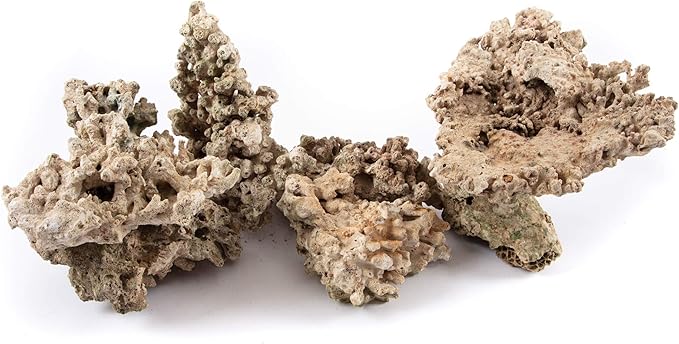 iQuatics Aquarium Dried Reef Rock Mixed Pack (5kg)