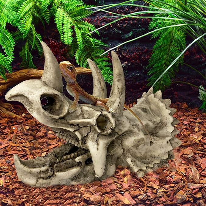 kathson Large Resin Dinosaur Triceratops Skull Décor Aquarium Decoration Reptiles Hideout Fish Tank Ornament Home Landscape Decor