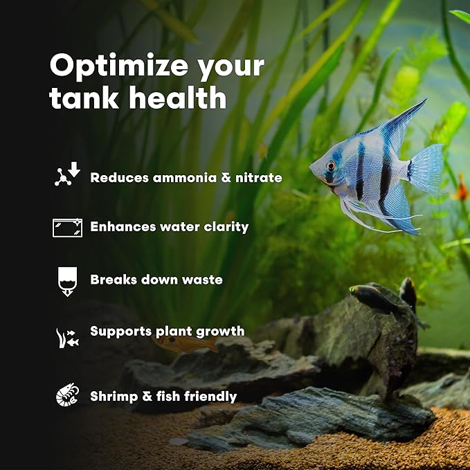 Brightwell Aquatics FlorinBacter7 Freshwater Aquarium Conditioner | Supports Biological Filtration | Removes Ammonia, Nitrite & Nitrate | Improves Water Clarity, 4L