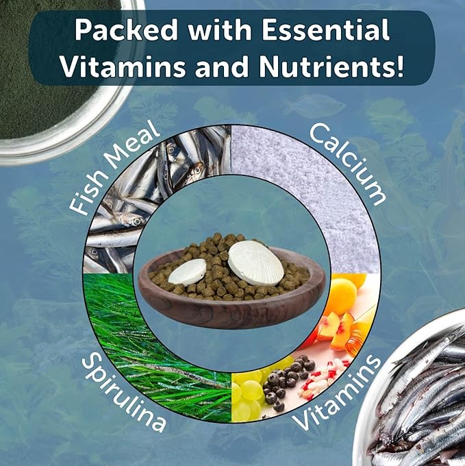 Calcium Blocks Included in Snail & Shrimp 4mm Sinking 40% Protein Nuggets. Ideal for All Snails, Shrimp and Bottom Tropical Fish…4-lbs 12oz Jar