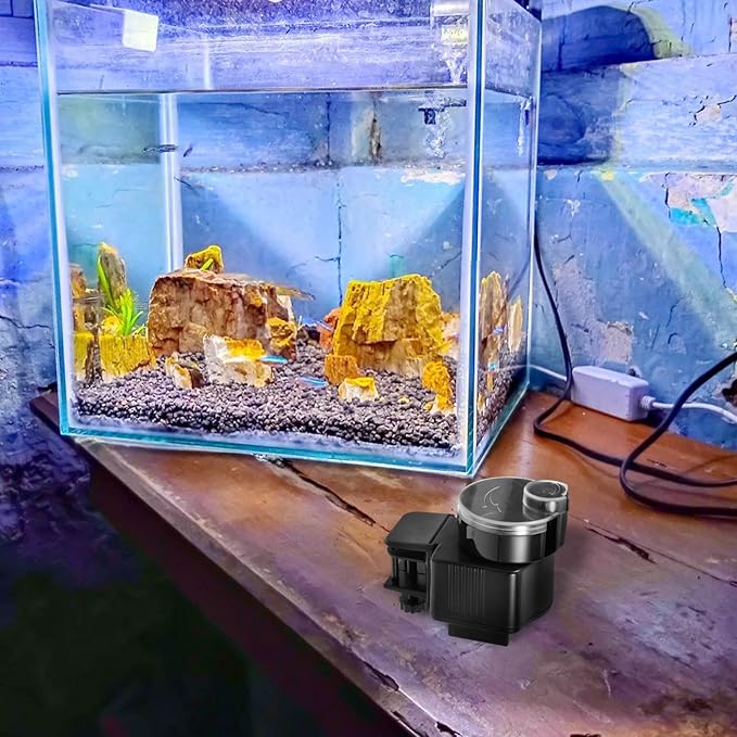 GLEAVI Automatic Aquarium Fish Feeder for Fish Tank with Timer Function, Battery-Free Auto Feeder Compatible with Flakes and Pellets, Suitable for Turtle Feeding Tank and Goldfish