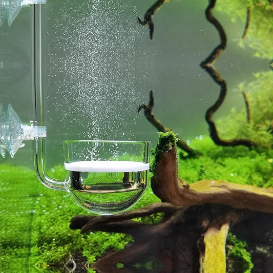 Music Glass CO2 Diffuser for Aquarium Plant (2'' for Tank Beyond 75 gallons)