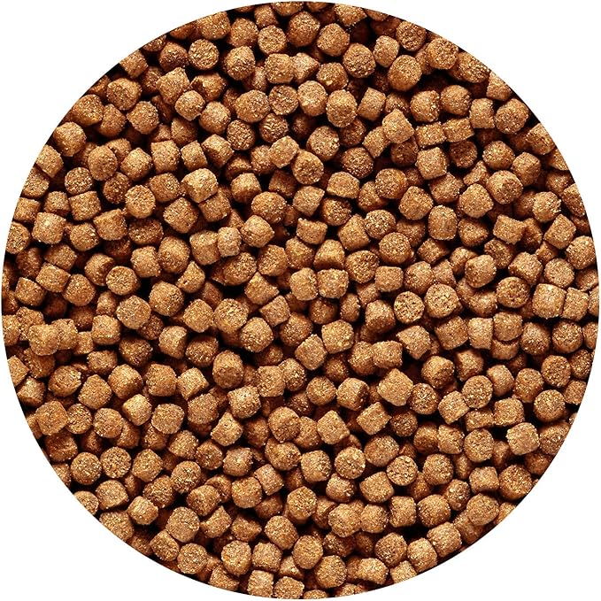 Hikari 3.5-Ounce Sinking Cichlid Gold Pellets for Pets, Mini