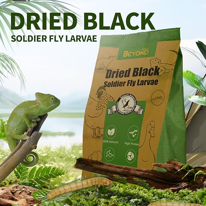 BeyondFeed™ Premium Dried Black Soldier Fly Larvae - High Calcium Supplement for Stronger Eggshells & Molting Recovery - Whole, Large Grubs (Superior to Mealworms) for Chickens, Ducks & Reptiles