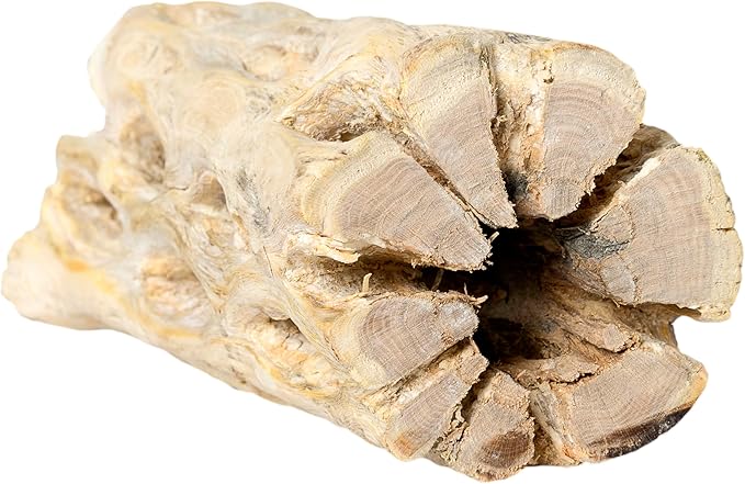 SuperMoss Cholla Wood, Natural, 12 in
